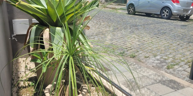 Centro. Formiga, 8 Bedrooms Bedrooms, ,3 BathroomsBathrooms,Casa,Venda,1357